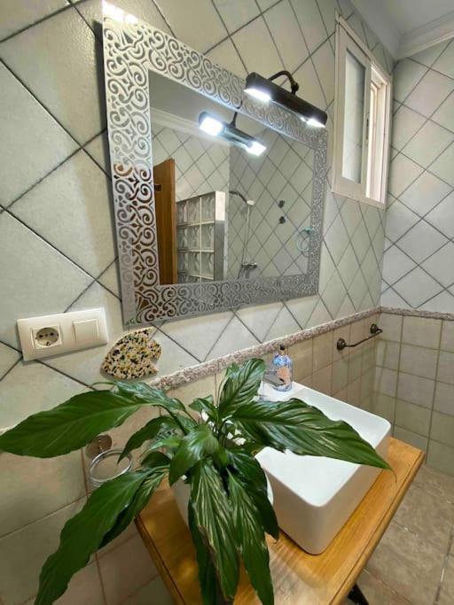 La Casa Del San Anton Βίλα Níjar Εξωτερικό φωτογραφία